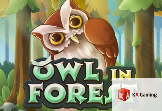 Owl In Forest